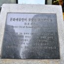 탈렌트주점 이미지