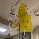 송림황토가든 | [20대 유방암] 7. TC+키트루다 3차 끝! 반이 다와간다,,