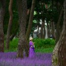 황산문화체육공원 이미지