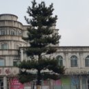 다사랑병원 이미지