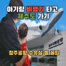제주도신체장애인복지회 | 23개월 아기랑 제주도 가기 청주공항 비행기 탑승 꿀팁 수유실 정보