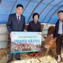 소로3-75 이미지