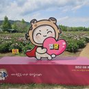 합천 핫들생태공원(2025. 5. 07) 이미지