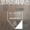 코끼리하우스민박 이미지