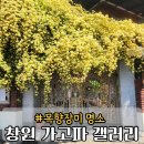 가고파 | 부산에서 창원 가고파 갤러리 목향장미 방문 후기 가는법 행복해지는법