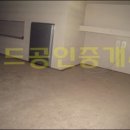 웰비치 Daum카페