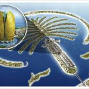 팜 (palm) 이미지