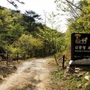 걷기 좋은 경주길, 왕의 길을 거닐다. [경주여행코스 : 경주애]