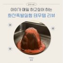 화산약국 | 아이와 과학실험! 화산폭발 실험 테무템 후기