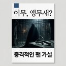 장한기술(주) | 원피스 앵무새론, 이무의 정체와 우솝의 활약 가능성 총정리