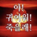 한성동물병원(양수지점) | 늦어버린 나의 남은 2월 결산 마무리