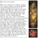 꽃피는언덕 이미지