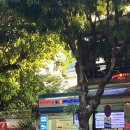 하누리 약국 이미지