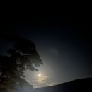 율코스메틱 이미지