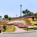화랑 유아숲체험원 이미지
