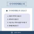 넷사이버 이미지