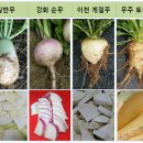 설천면102 이미지