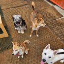 멍스 컨테이너 이미지