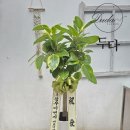 (주)청우이엔지 이미지