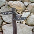 동문백양산식당