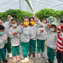 청남초교 병설유치원 이미지