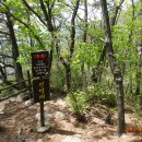 두촌면사무소 이미지