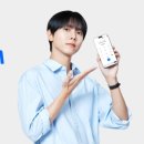 안즈글로벌