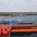 독자유원지 이미지