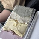 공현진 민박 | 속초 당일치기; 다미정 &amp; 카페 &amp; 화암사 &amp; 설악젤라또 &amp; 중앙시장 &amp; 구구집