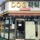 완산애견 이미지