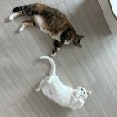 경가화로