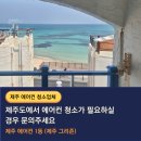 하얀날개펜션 | 제주도에어컨청소 펜션에서 좋은 후기를 받는 이유