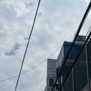 운현약국 | [사랑니 치과] 사랑이아프니 구강악안면외과 치과의원 강남점 /매복사랑니 5분컷 /내돈내산 /강추
