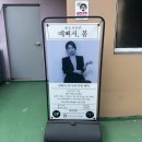 셀프사진관예뻐서;봄 티스토리