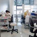호수J속눈썹