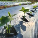 민혁농장 이미지