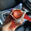 홍만당 압구정점 이미지