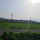 일본의 폴립테루스 마니아 "Akira Mizutani"씨 자택 탐방기 (2025.04.19)