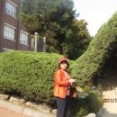 김천신용협동조합 이미지