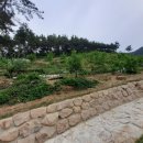 사재농장 네이버블로그