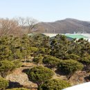 소나무리조트 이미지