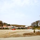 교동초등학교 지석분교 이미지