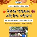 김작가여행사 이미지