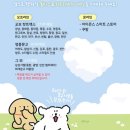 영풍문구 | 신림 타임스트림 영풍문고 ‘몰티즈’ 문구 굿즈 구매 후기 | 빅풋의 일상 라이프