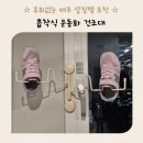 타공없이 설치 테무 흡착식 신발 운동화 건조대 솔직 후기