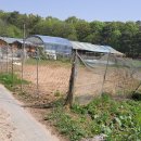 대전시 유성구 주말농장용 토지 매매(전 646㎡, 매1억9천) 이미지