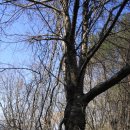 구룡산민박 이미지