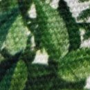 시흥내과의원 이미지