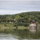 여주-0554 네이버블로그