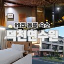 별관펜션식당 | 제주도 덕천연수원 제주 동쪽 숙소 - 별관 스탠다드 이용후기